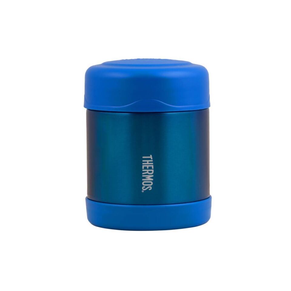 Thermos F300 Funtainer SS Çocuk Yemek Termosu 0,29L 108653