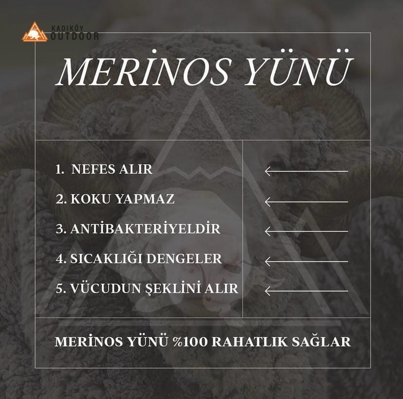 Woolona ICEWALL 100% Merinos Yün BERE