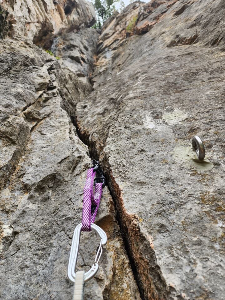 TOTEM CAM 1.00 PURPLE