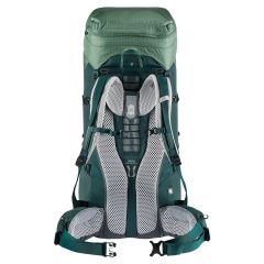 Deuter Aircontact Lite 60 + 10 SL Kadın Sırt Çantası aloe-forest