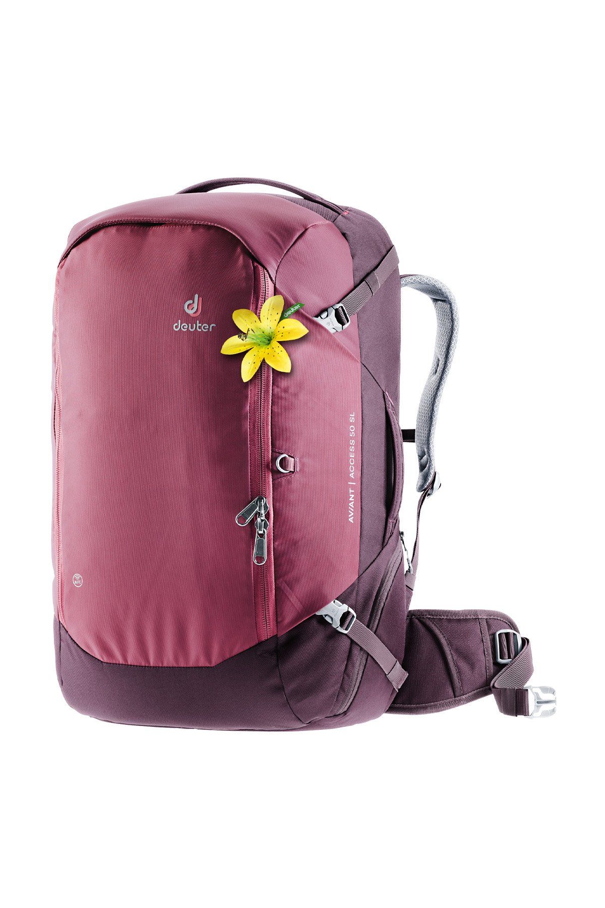 Deuter Aviant Access 50 Litre SL Kadın Sırt Çantası MARON-AUBERGİNE