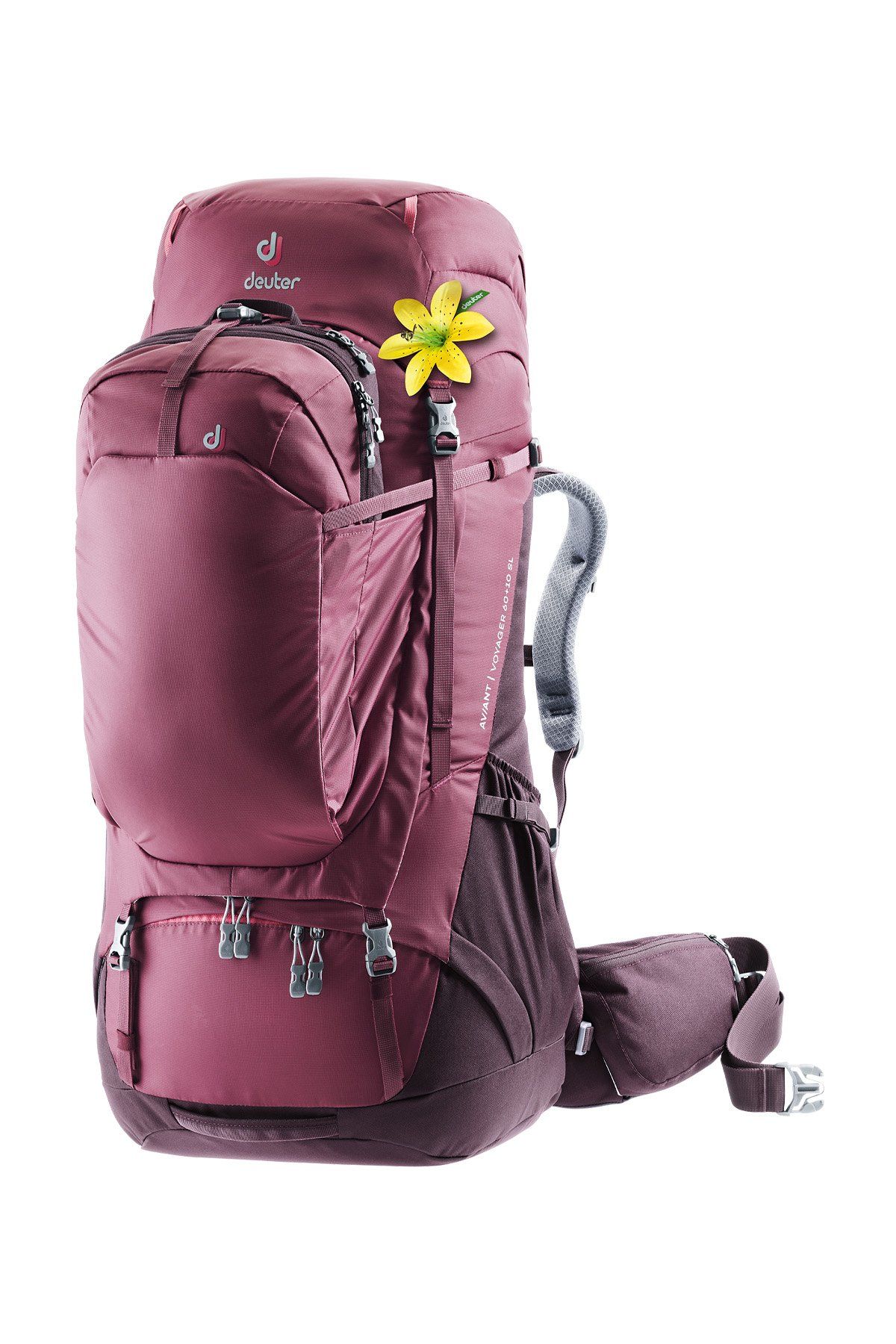 Deuter Aviant Voyager 60 + 10 SL Kadın Sırt Çantası MARON-AUBERGİNE