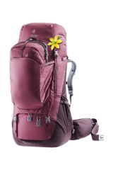 Deuter Aviant Voyager 60 + 10 SL Kadın Sırt Çantası MARON-AUBERGİNE