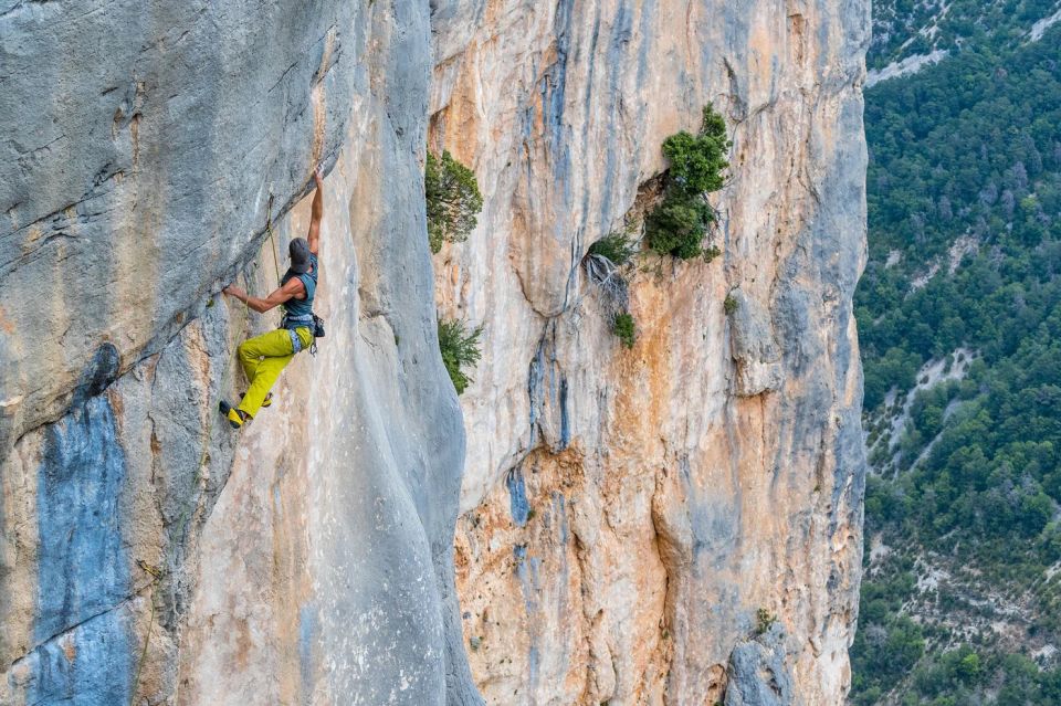 Grivel TREND HARNESS RAINBOW Tırmanış Emniyet Kemeri HATRERA