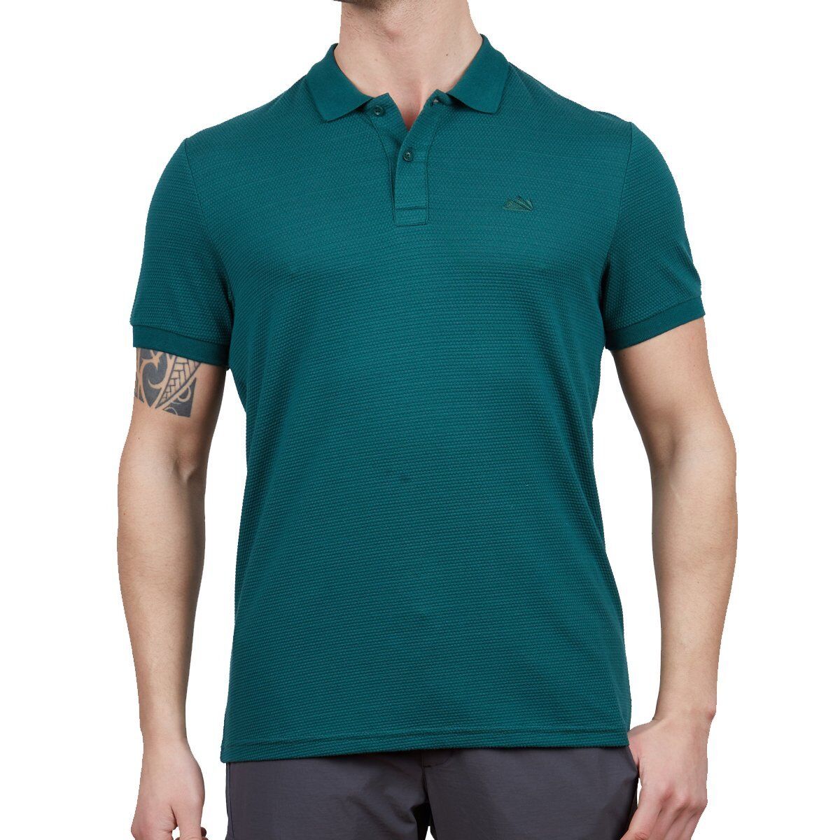 Alpinist Roc Erkek Polo T-Shirt