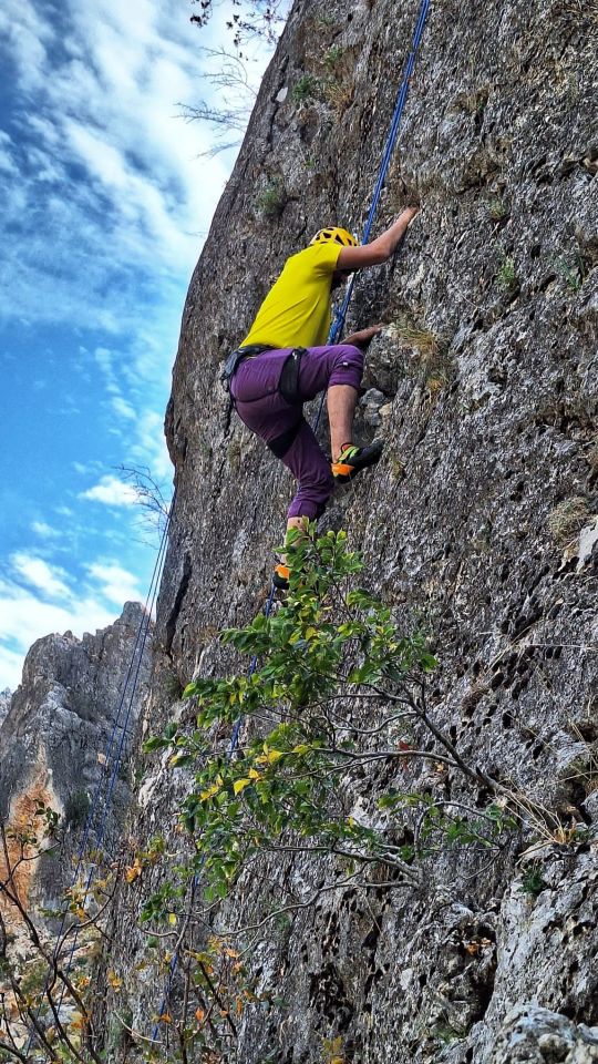 Mockingbirds UNISEX  Tırmanış Pantolonu MAGIC PURPLE